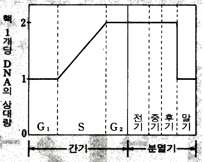 ü п DNA ȭ